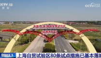 透过数字看成效 上海自贸试验区80条试点措施已基本落地—fill11中转页