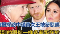 从吃瓜群众的角度看网红,吃瓜群众眼中的网红生成记