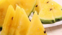 精品吃瓜黑料一区XXXX,一区XXXX背后的惊人真相与吃瓜黑料