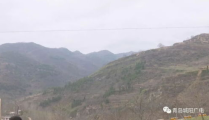 陇南成县网红吃瓜事件,一场网络狂欢背后的真相与反思